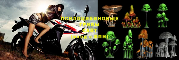 СК Богородск