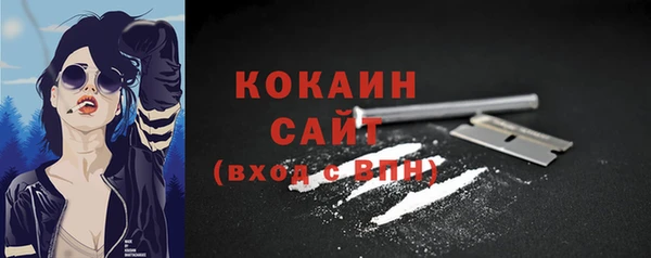 Альфа ПВП Богородицк