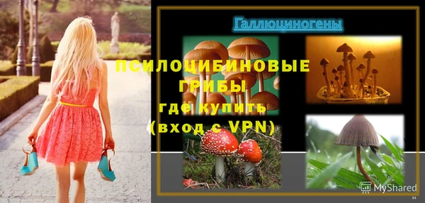 Альфа ПВП Богородицк