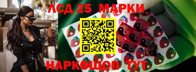 стафф Бийск