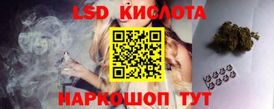 стафф Бийск