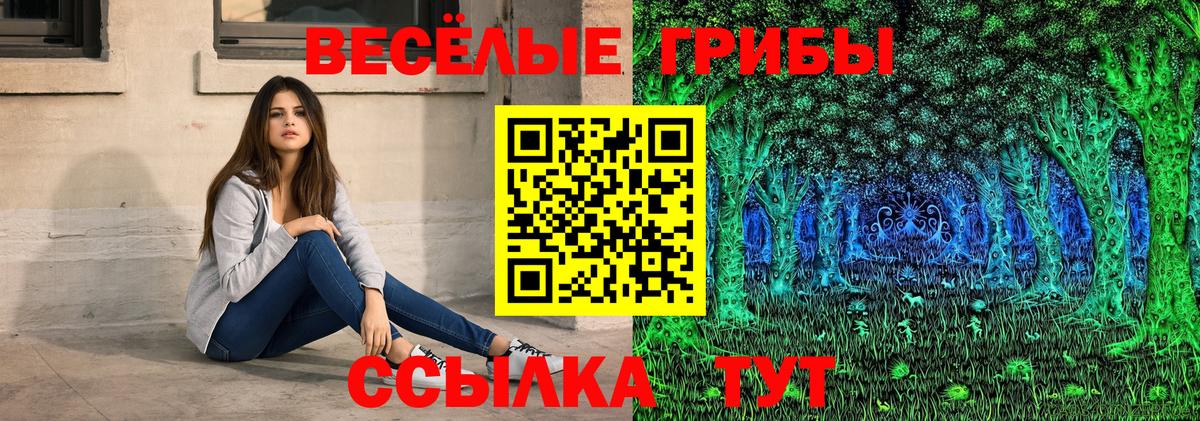 Псилоцибиновые грибы GOLDEN TEACHER Волжск