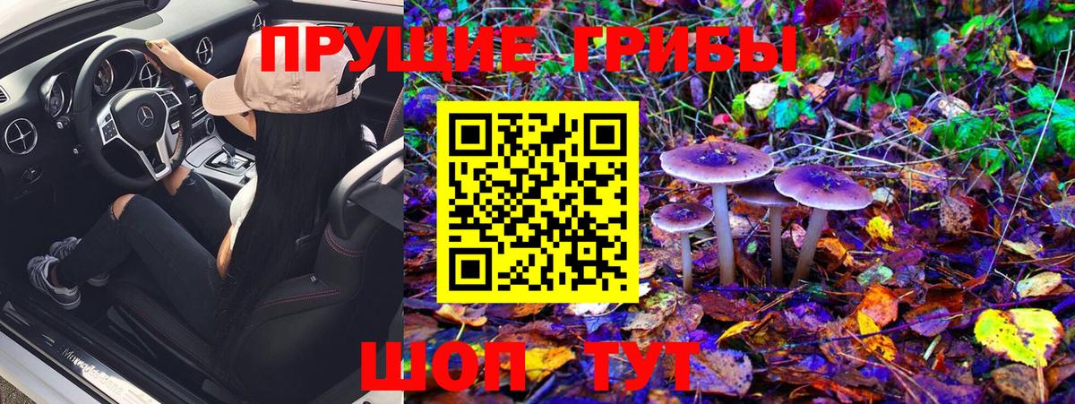 магазин продажи наркотиков  Галлюциногенные грибы GOLDEN TEACHER  Вход с VPN  Волжск 